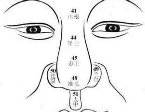 截筒鼻 面相|鼻子相学图解，面相学各种鼻子男女命相图